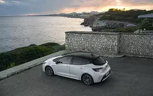   Toyota Corolla Hatchback Hybrid 1.8L - 2019